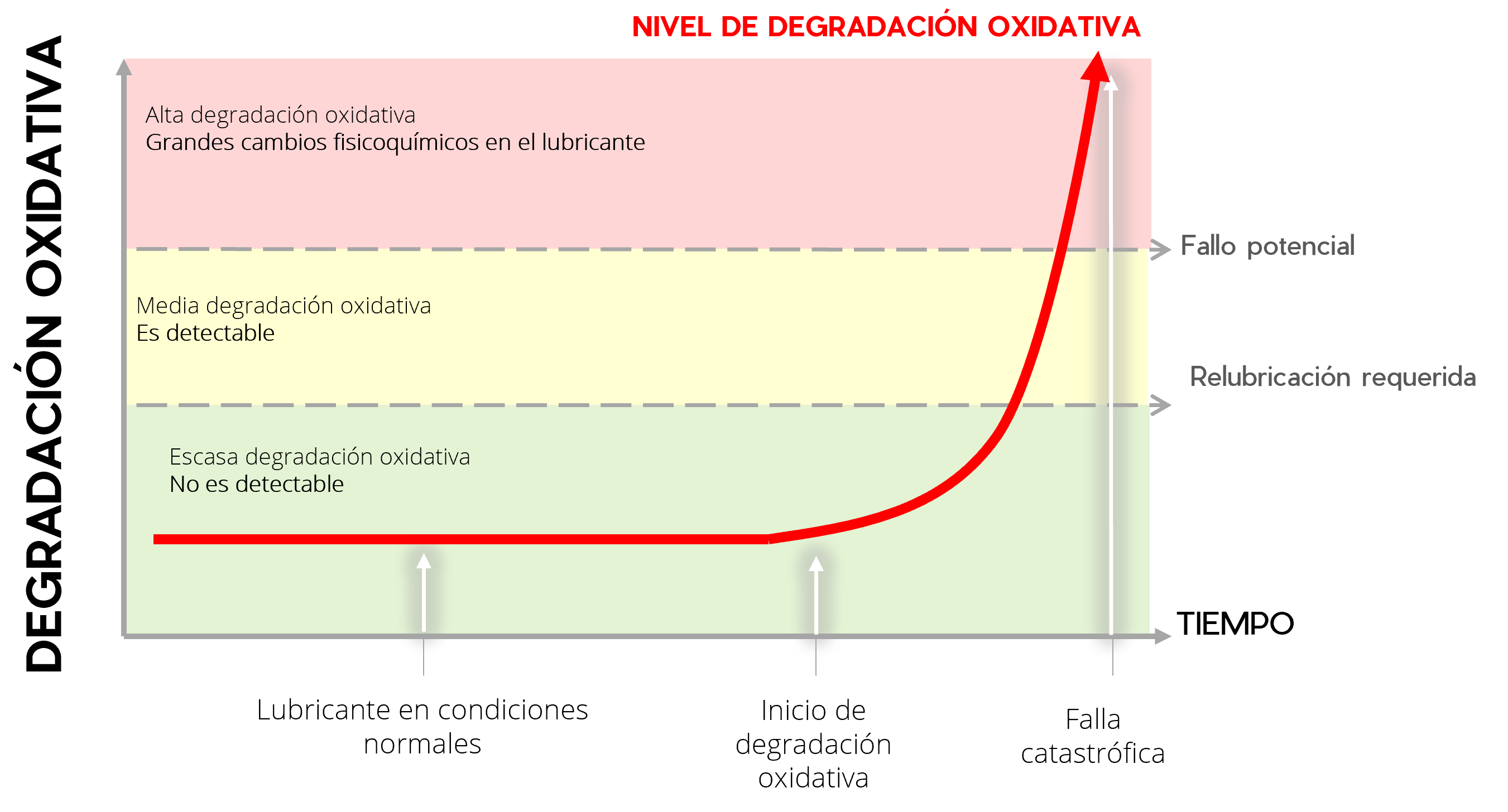Imagen_1